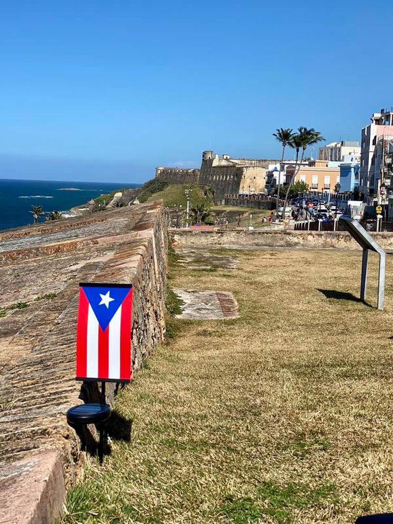 Puerto Rico Flag - El Pito De Coqui Echo Essence Flag Solar Garden Novelty Yard Sign Weather Resistant